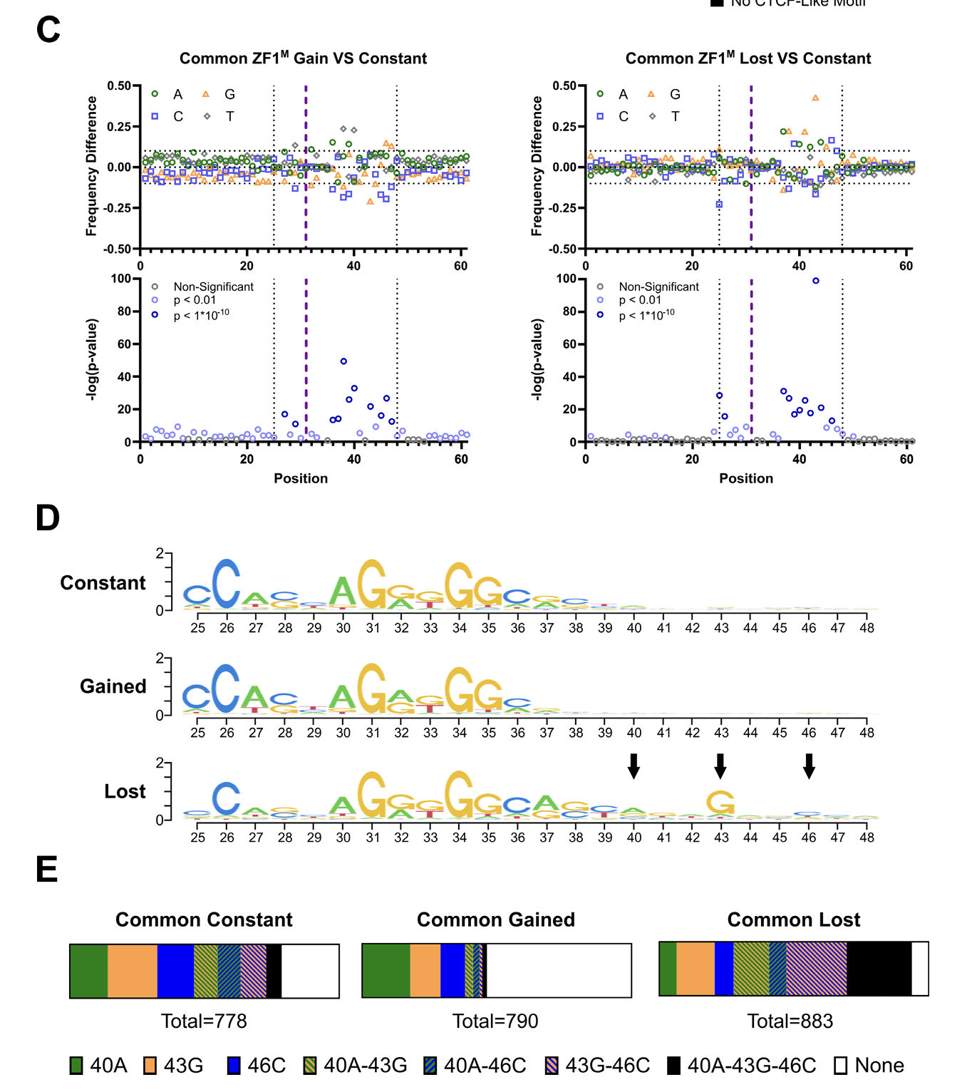 MoMotif discriminative motif discovery (Figure 3C–E)