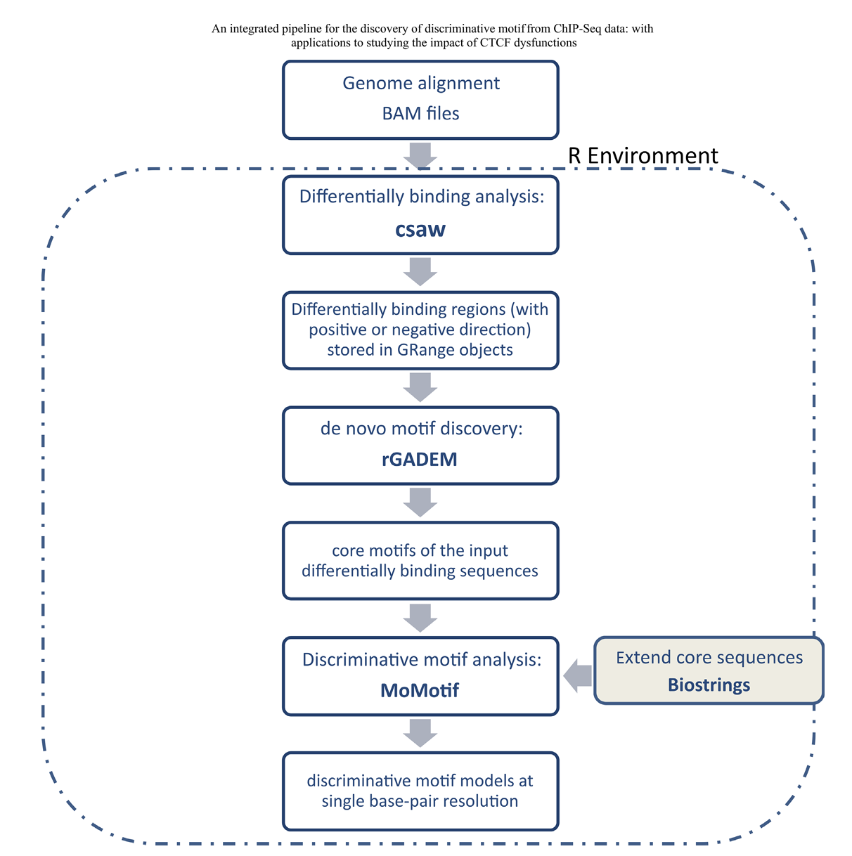MoMotif pipeline (Figure 2)