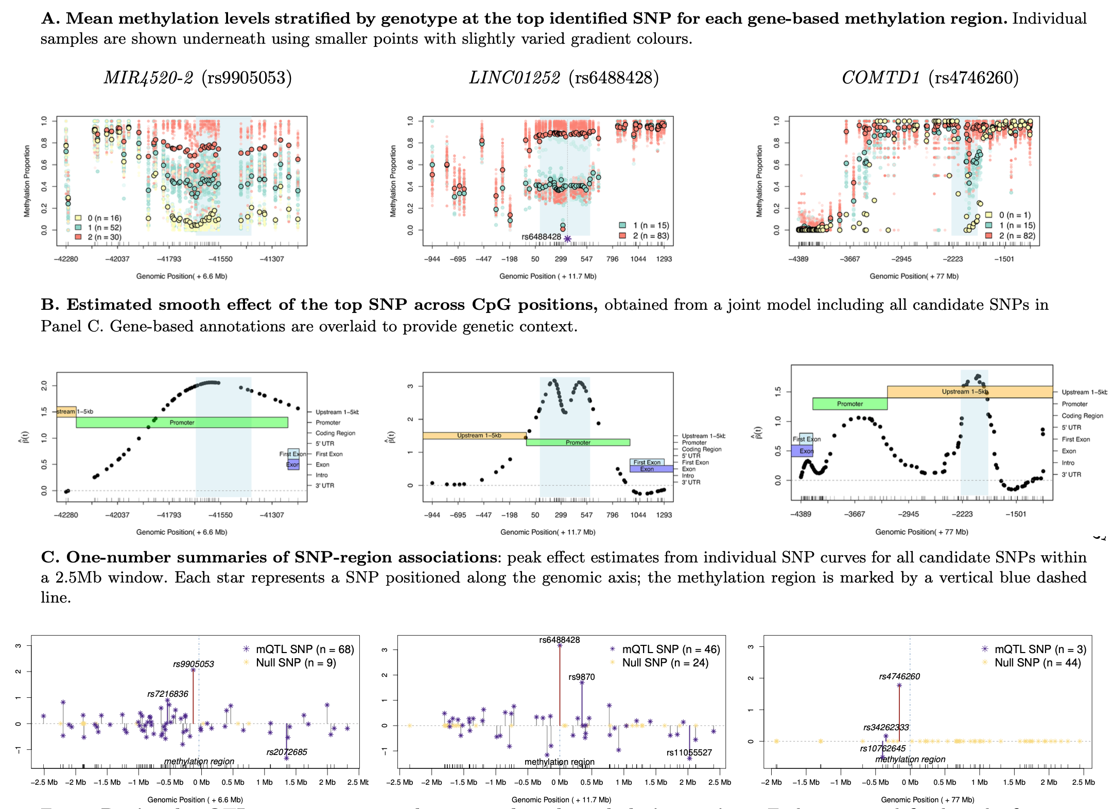 sparseSOMNiBUS overview